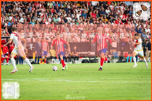 亚星主站入口官方说明与使用技巧分享