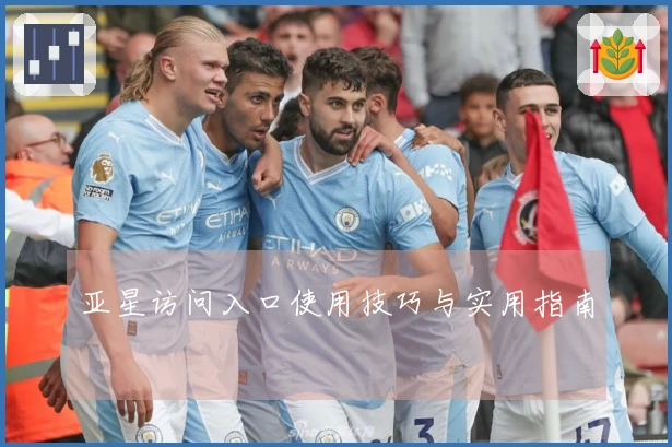 亚星访问入口使用技巧与实用指南