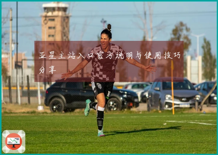 亚星主站入口官方说明与使用技巧分享