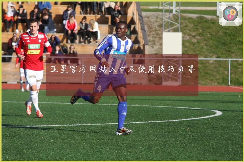 亚星官方网站入口及使用技巧分享