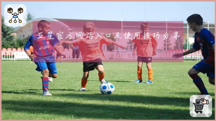 亚星官方网站入口及使用技巧分享